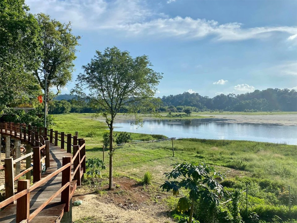 bầu sấu
