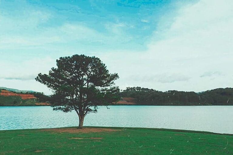 suoi-vang-da-lat