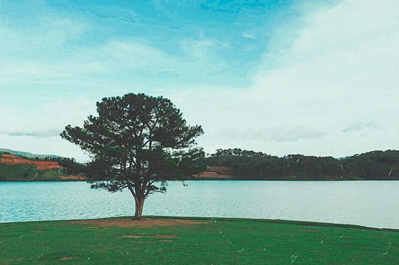 suoi-vang-da-lat