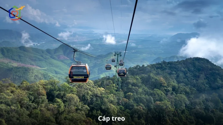 cáp treo