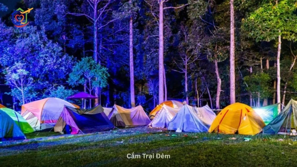 Cắm Trại Đêm ở Nam Cát Tiên