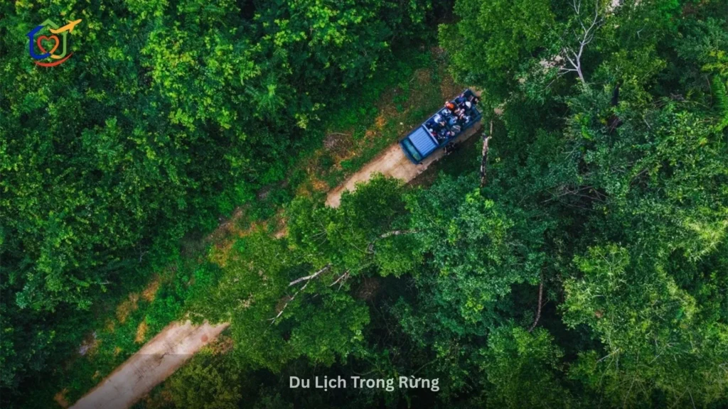 Du Lịch Trong Rừng Nam Cát Tiên