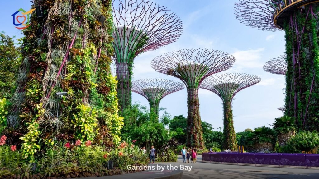 Gardens by the Bay
