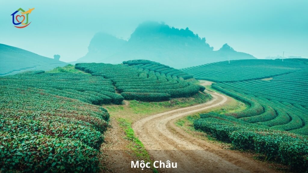 Mộc Châu