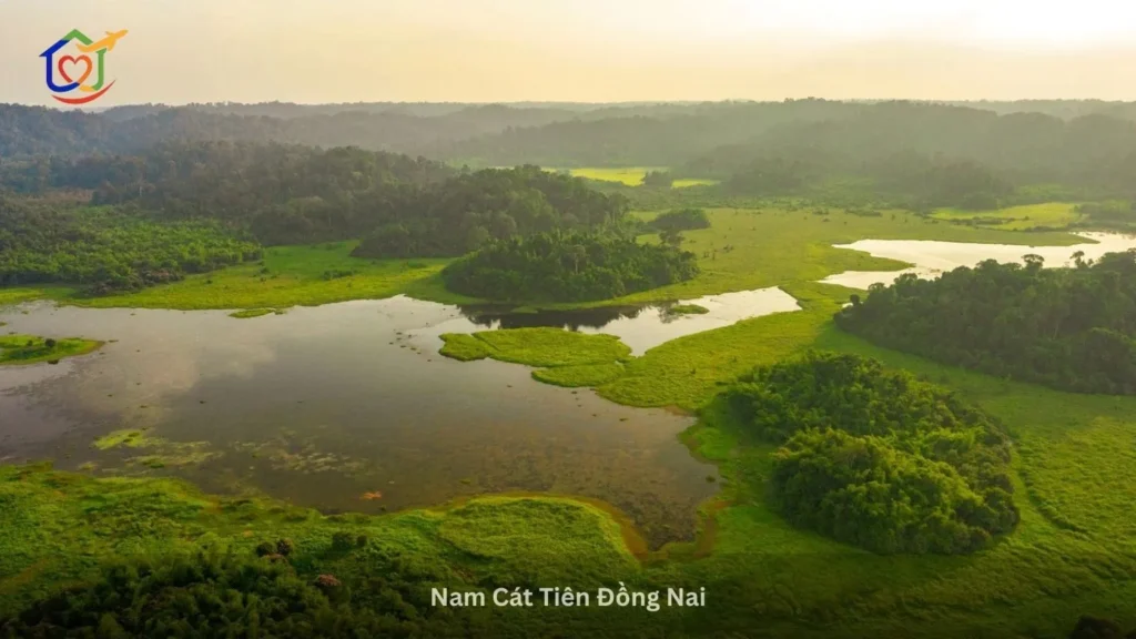 Rung Nam Cát Tiên