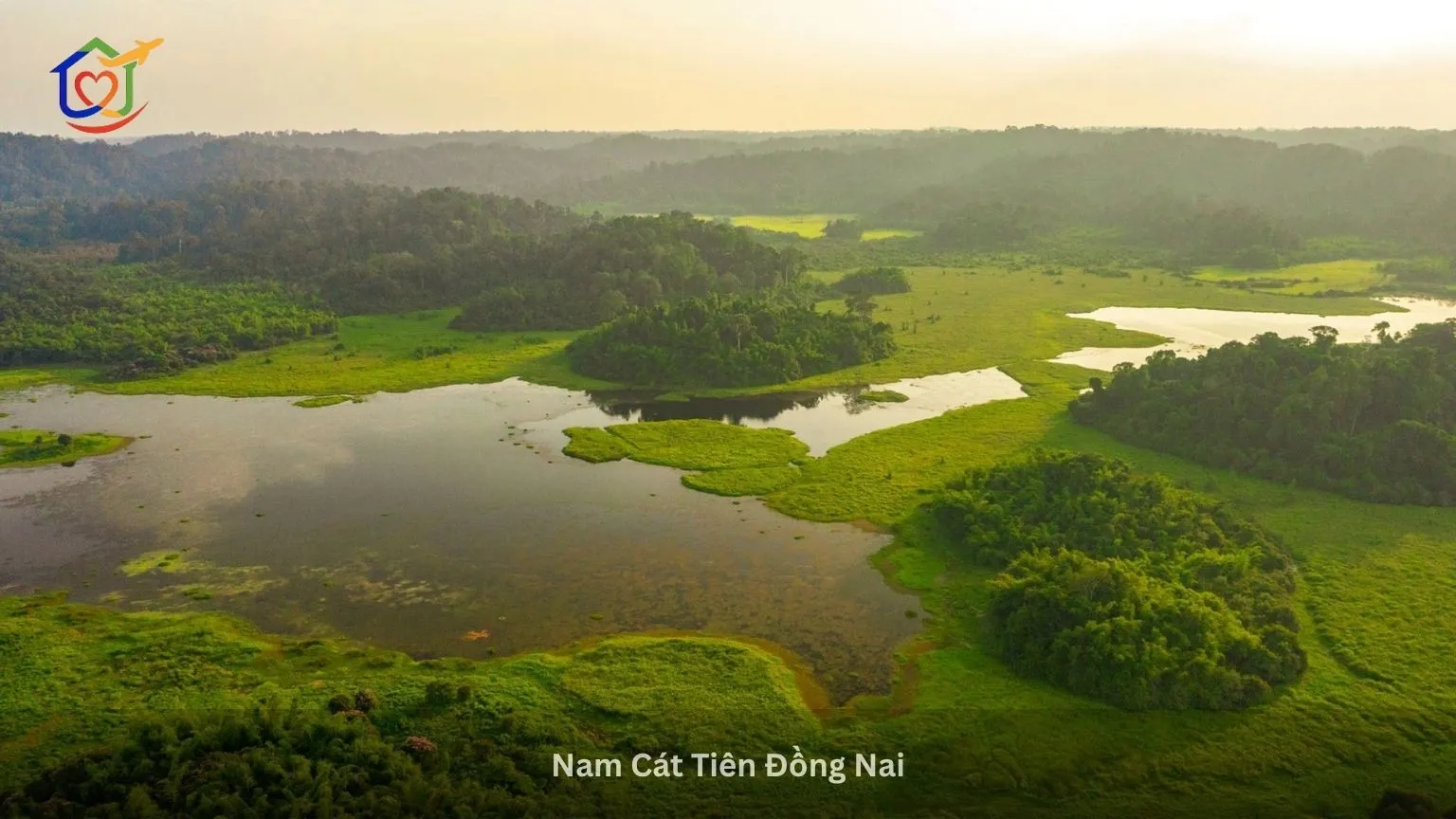 Rung Nam Cát Tiên