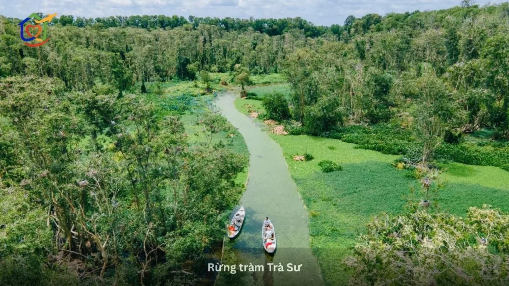Rừng Tràm Trà Sư