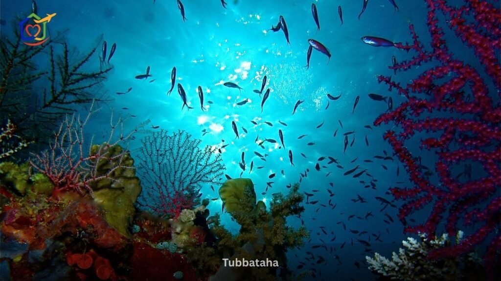 Tubbataha