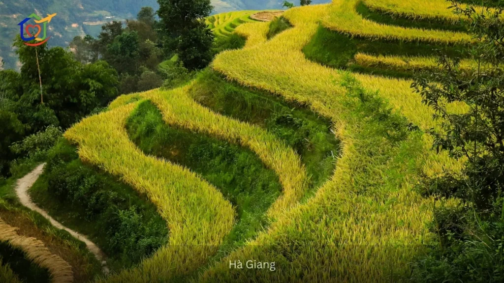 Hà Giang 2