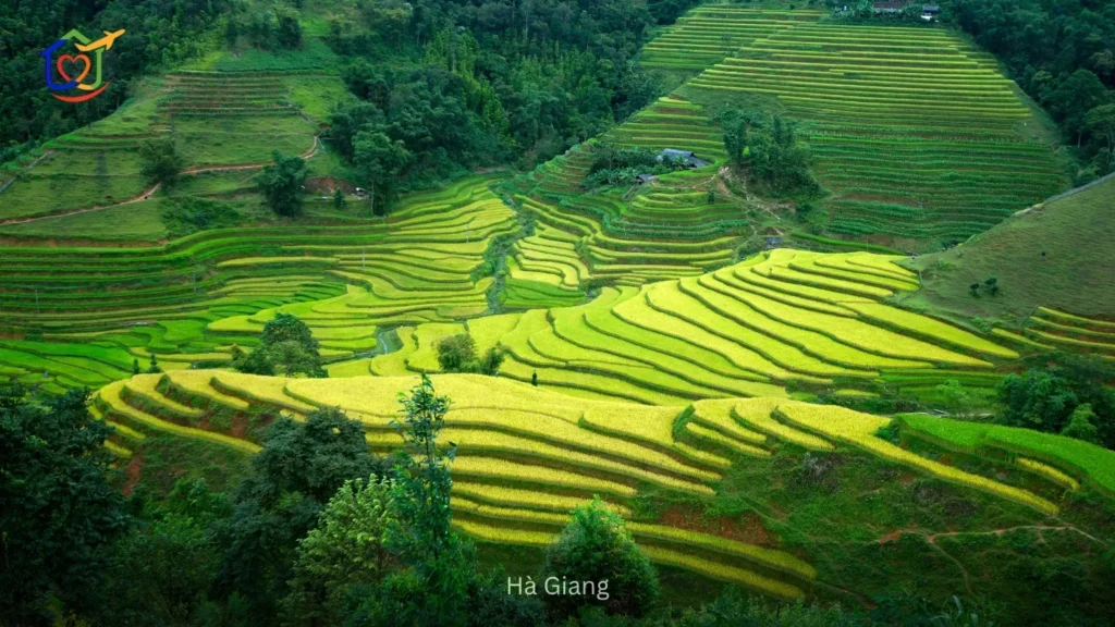 Hà Giang 5