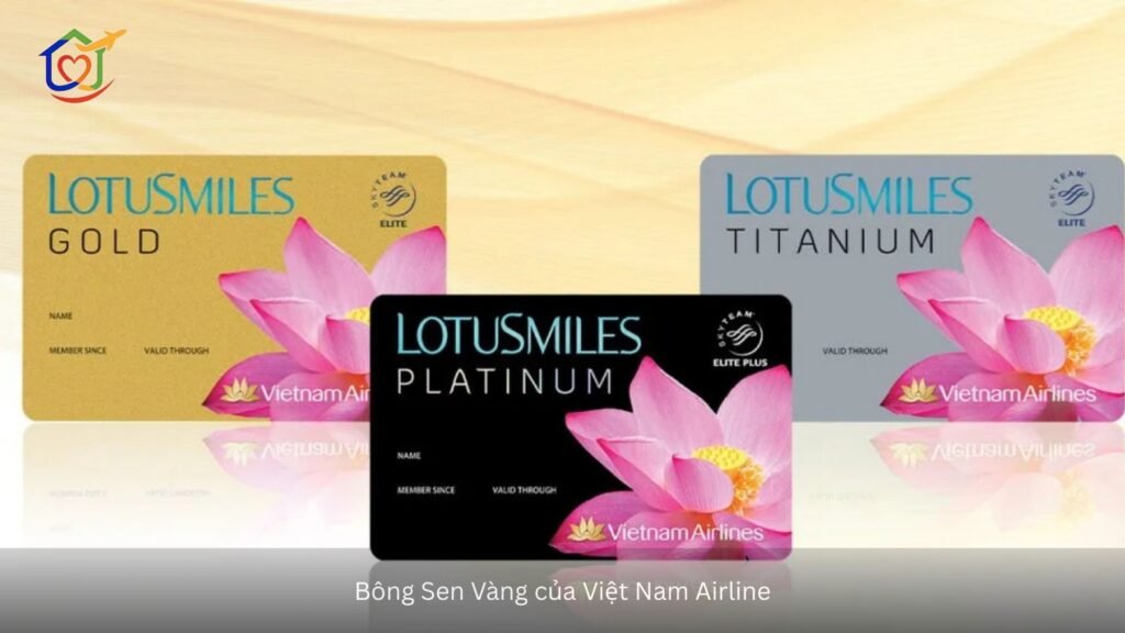 Bong sen vang cua Vietnam Airline