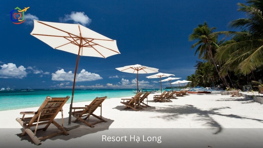 Hạ Long