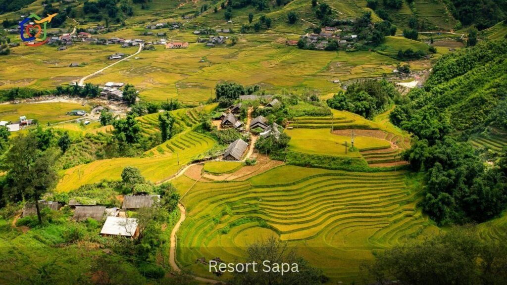 Sapa