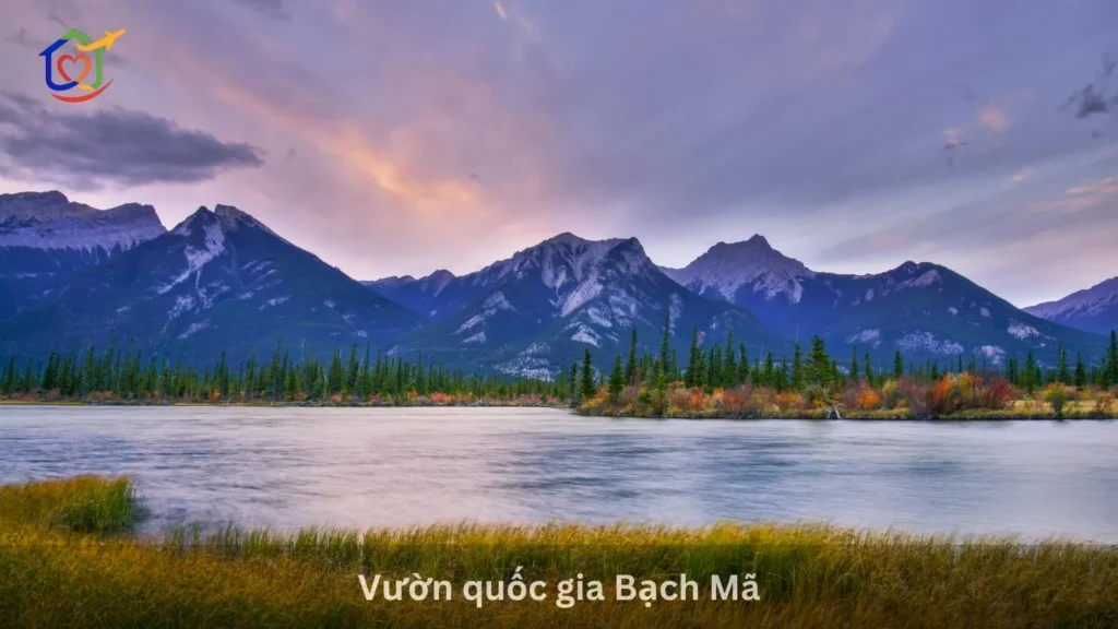 Vườn quốc gia Bạch Mã
