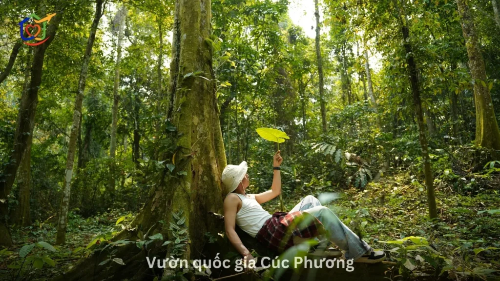 Vườn quốc gia Cúc Phương