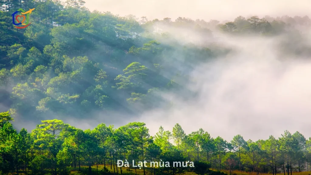 Đà Lạt mùa mưa