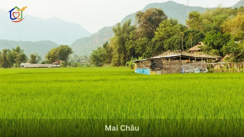 Mai Châu