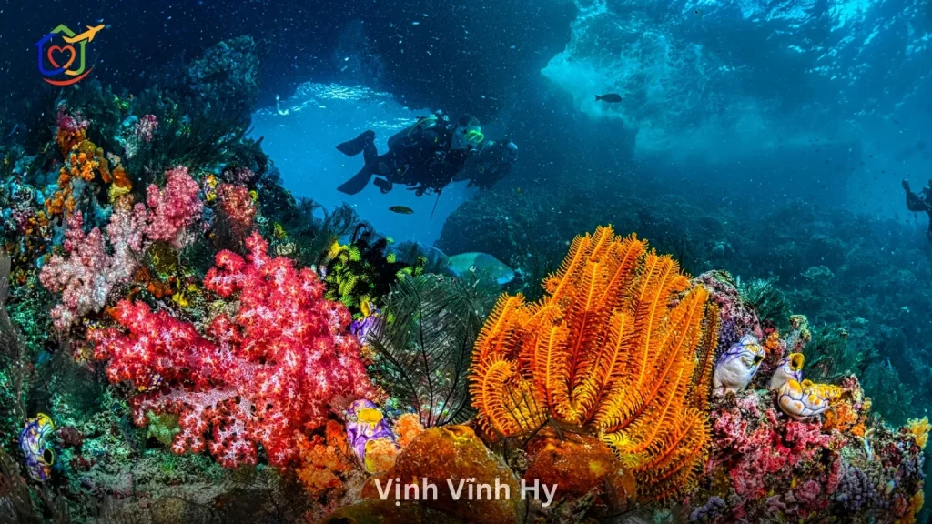 Vịnh Vĩnh Hy