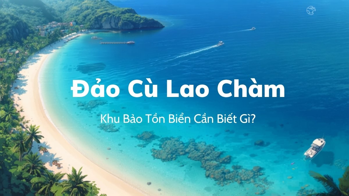 Toàn cảnh bãi biển và rạn san hô ở đảo Cù Lao Chàm nhìn từ trên cao, minh họa cho bài viết về khu bảo tồn biển