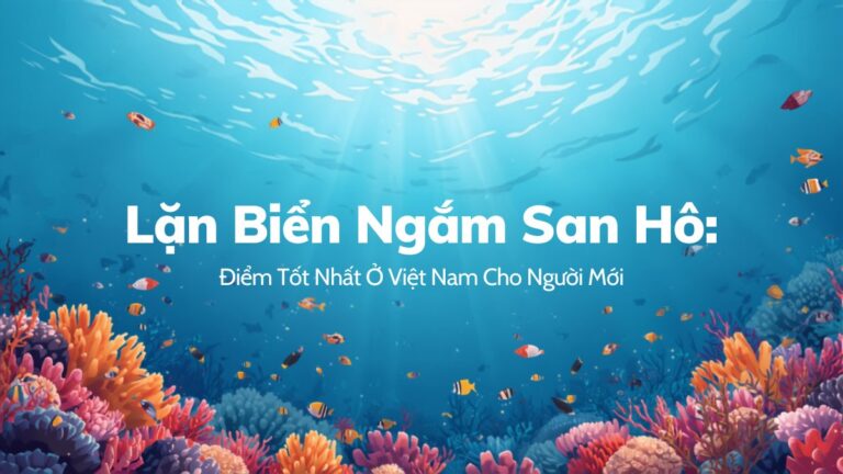 Minh họa rạn san hô đầy màu sắc dưới biển với cá nhiệt đới, chủ đề lặn biển ngắm san hô ở Việt Nam