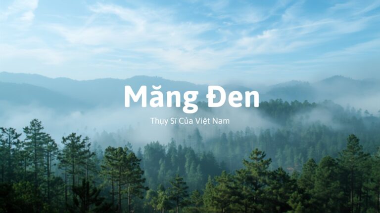 Rừng thông và núi đồi phủ sương mù buổi sáng ở Măng Đen, Kon Tum, cao nguyên được ví như Thụy Sĩ của Việt Nam