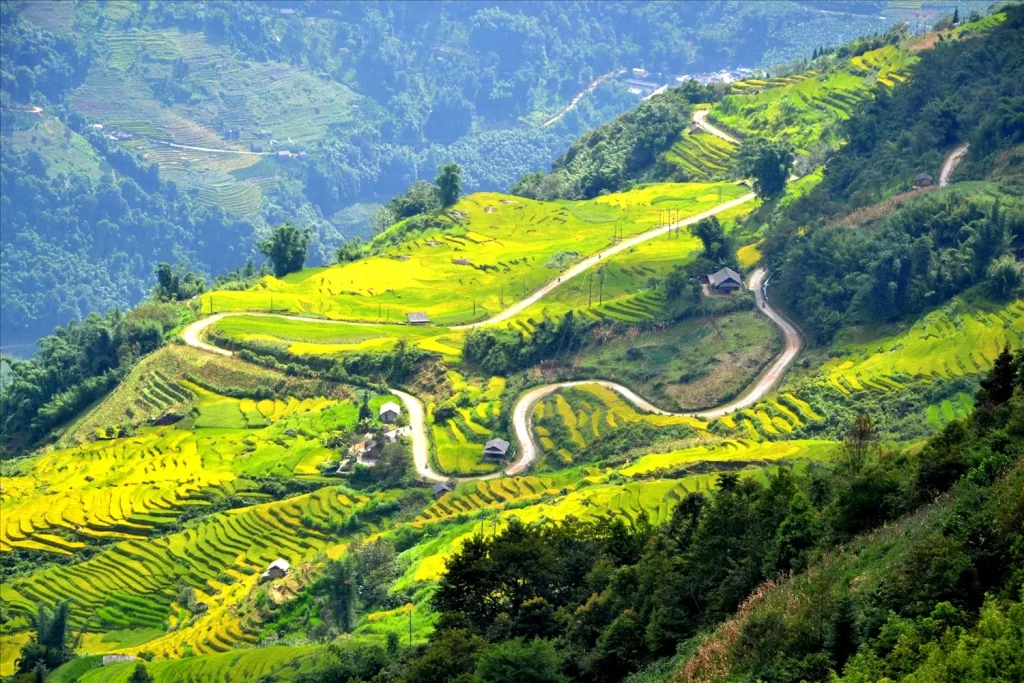 Y Tý Lào Cai