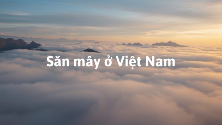 Biển mây trắng bồng bềnh phủ kín thung lũng núi vào lúc bình minh, cảnh săn mây điển hình ở vùng cao Việt Nam