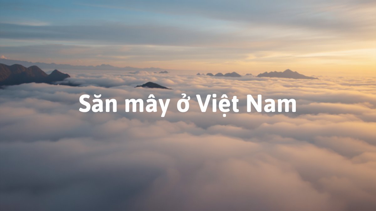 Biển mây trắng bồng bềnh phủ kín thung lũng núi vào lúc bình minh, cảnh săn mây điển hình ở vùng cao Việt Nam