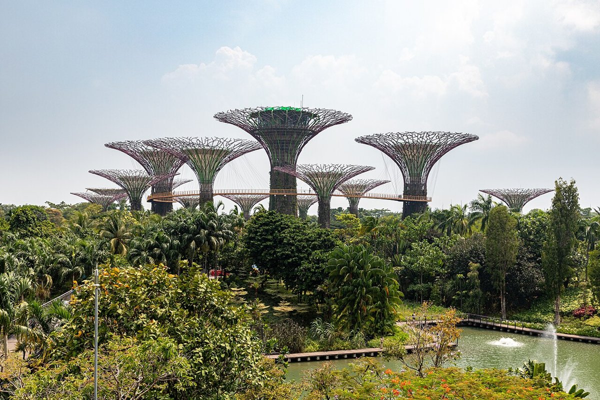 Vườn Supertree tại Gardens by the Bay – điểm đến cho gia đình khi bay TP.HCM Singapore