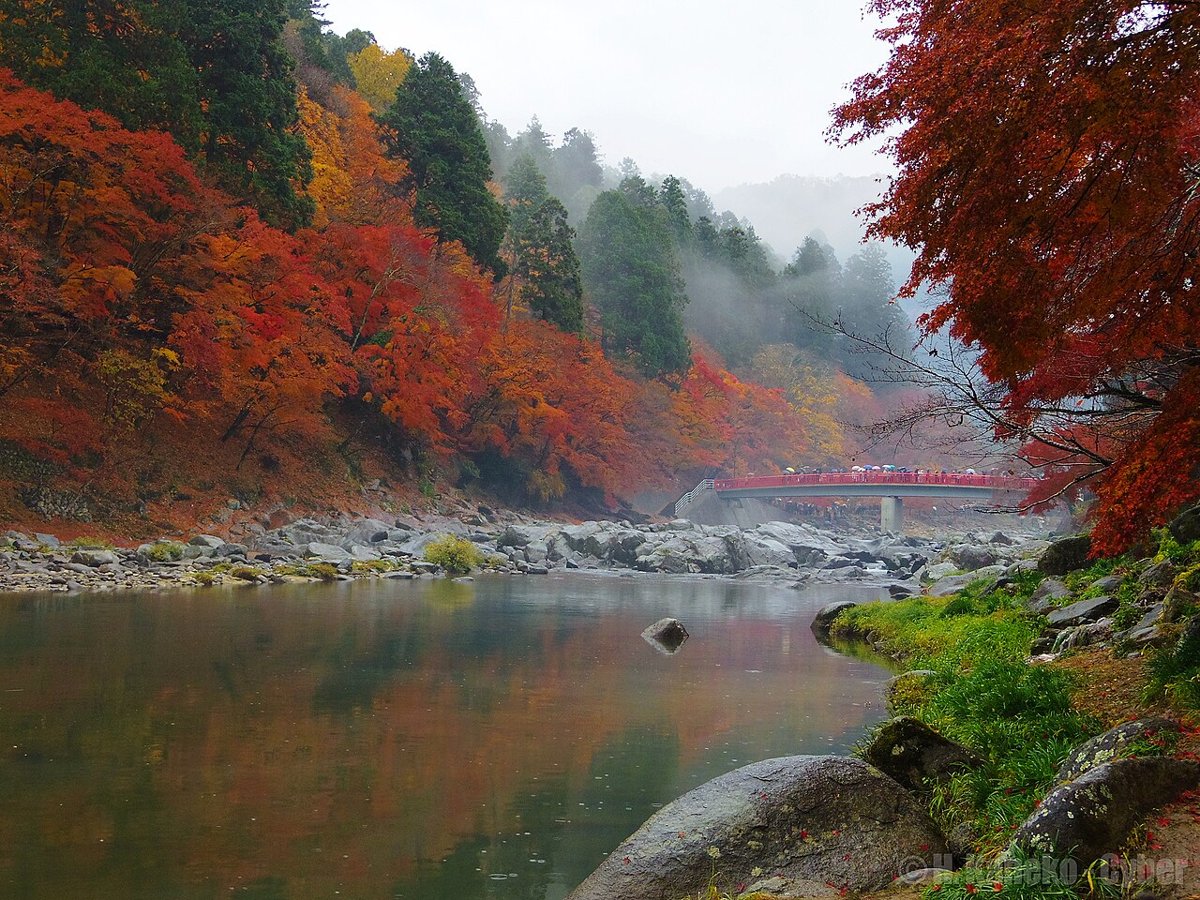 Hẻm núi Korankei gần Nagoya rực lá đỏ, gợi ý cho hành trình bay vào sân bay Chubu