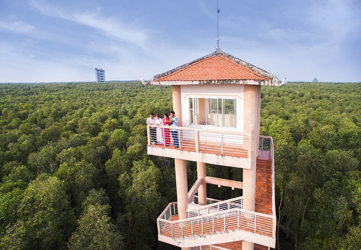 Tháp quan sát giữa rừng tràm ở làng nổi Tân Lập, Long An
