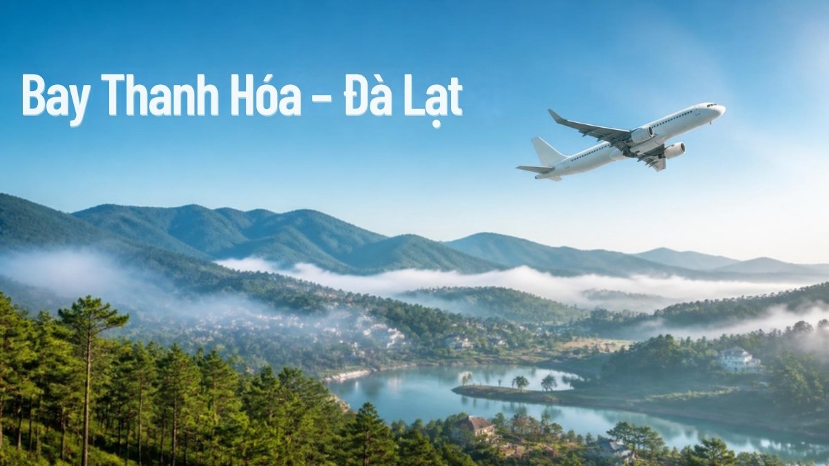 Máy bay bay trên đồi thông và thung lũng sương Đà Lạt – minh họa vé máy bay Thanh Hóa đi Đà Lạt