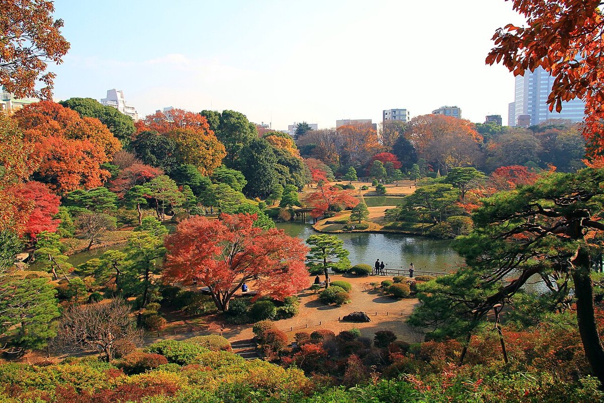 Vườn Rikugien ở Tokyo nhuộm sắc lá đỏ cuối mùa thu, thời điểm đẹp để ngắm momiji